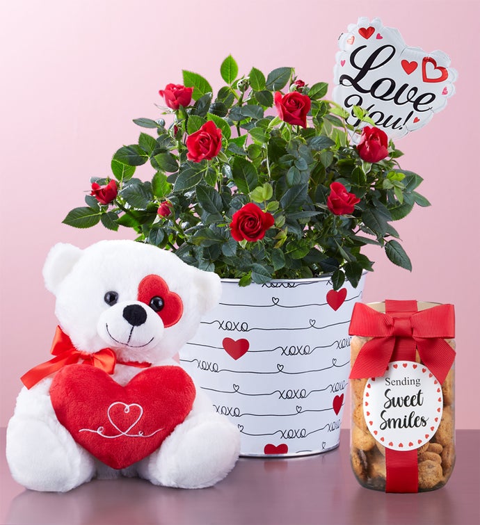 Bundle of Love Rose Plant